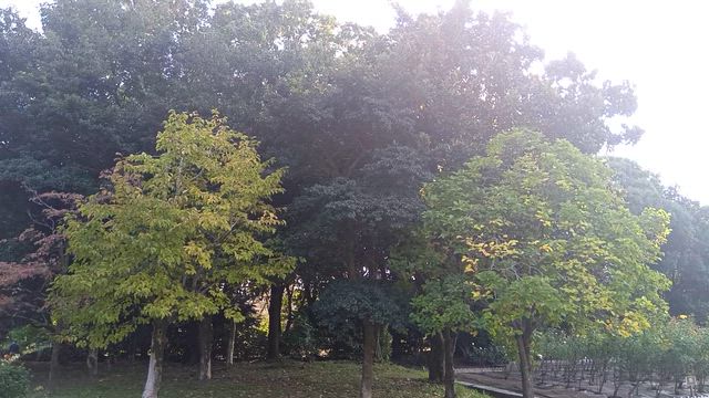 緑地公園散策しましたの記事動画