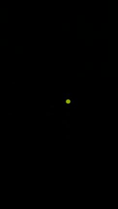 ほーっ、ほーーっ！の記事動画