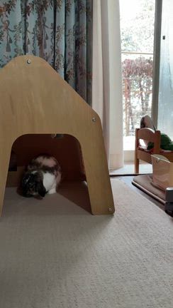 久しぶりの積雪&福徳神社への記事動画