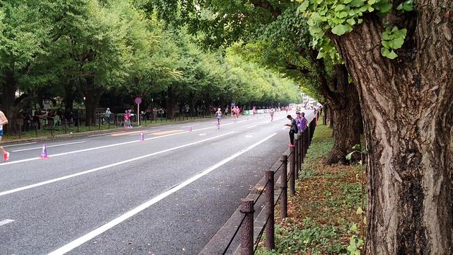 世界陸上初日の記事動画