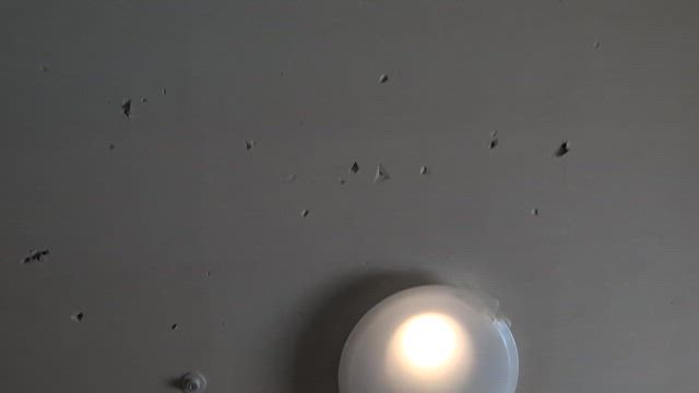 ふざけ過ぎて太鼓腹の親子＆理不尽に威嚇されたಠ益ಠの記事動画