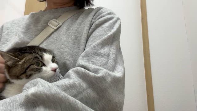 思わず保護になってしまう話。の記事動画