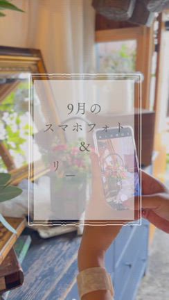 9月のスマホフォト＆リール作成レッスンのお知らせの記事動画