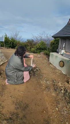 4度の椿染めin諭鶴羽神社の記事動画