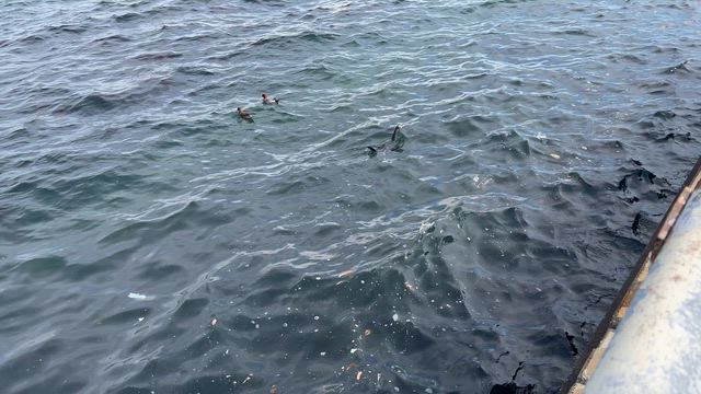 こんな日常が好きの記事動画