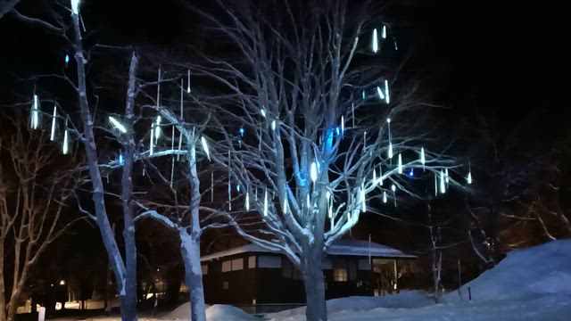 休暇村 支笏湖（氷濤まつりチケット付きプラン）③ 〜氷濤まつり プレミアムタイム〜の記事動画