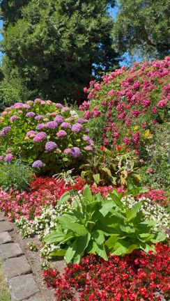 Adoコンサートの翌日 in Tacoma  まじウマ！人気スープ店の記事動画