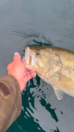 釣果報告の記事動画