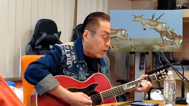 大阪の街中に現れた鹿さんの歌の記事動画