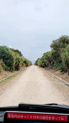 2026旧正月の沖縄・プライベート編の記事動画