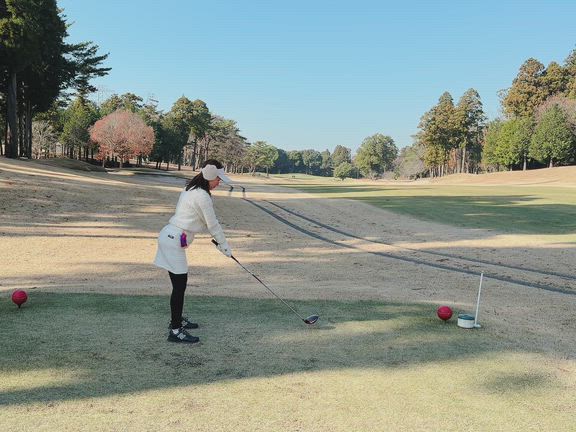 24年ぶりに1日一緒に過ごした日の記事動画