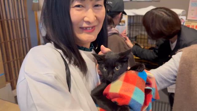 ざま猫・譲渡会の記事動画