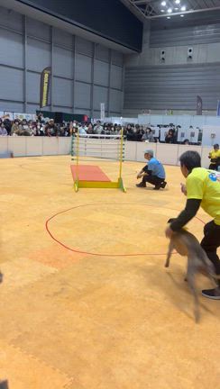 ペット博の記事動画