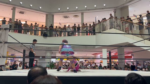 三連休!(´▽｀)の記事動画