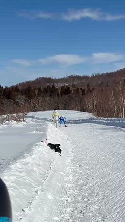 後悔すんなよ(3年塩谷)の記事動画