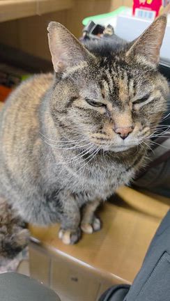 予約状況の記事動画