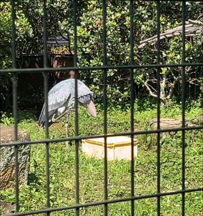 あなたが、あなただからいい♡の記事動画