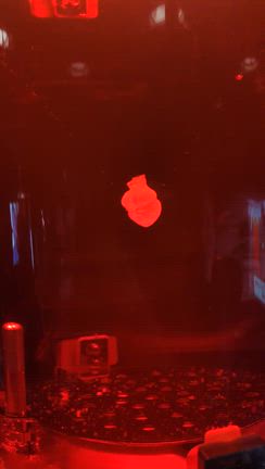 ｉＰＳ心臓展の記事動画