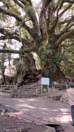しまなみ海道の記事動画