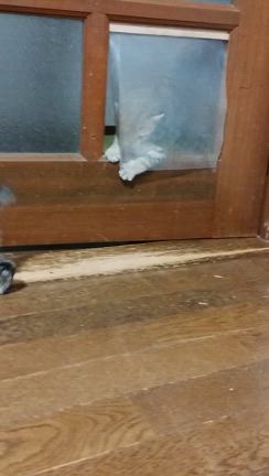 これがホントのクソ婆？の記事動画