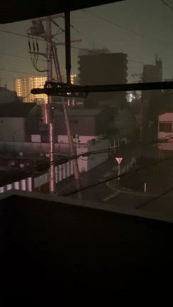 カミナリの日のおうちディナーと三色わらび餅とちゃちゃの記事動画