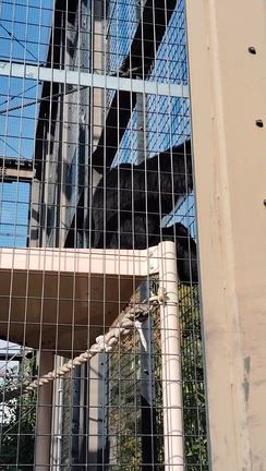 久しぶりの東山動植物園その➀の記事動画