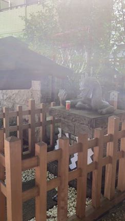 龍と光❤️の記事動画