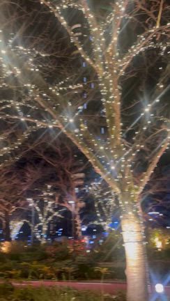 寂しくなる日の記事動画