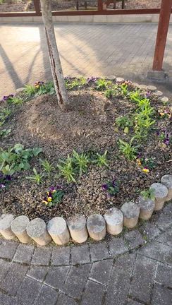 いけばな奉仕の記事動画