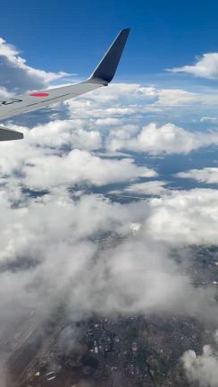 お空の上。の記事動画