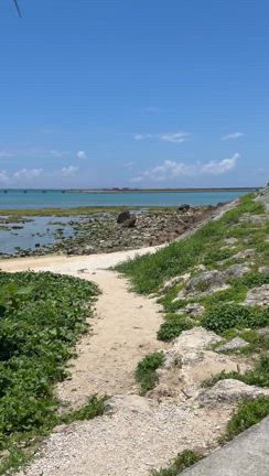 2025沖縄旅行　その6 おでかけの記事動画