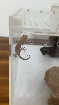 MCWzN5zmG5QoYlrdgJ9VMGa7Qt-