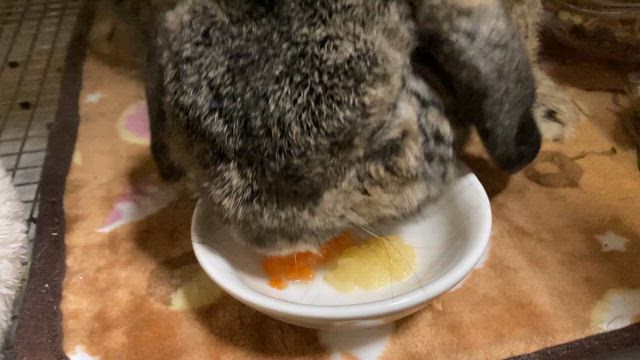 ☆体調不良☆の記事動画