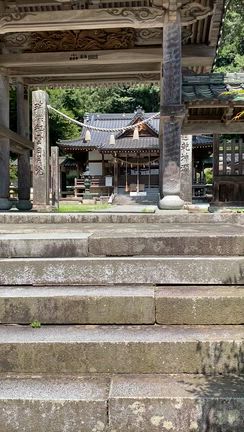 ライオンズゲート　2025 その4の記事動画