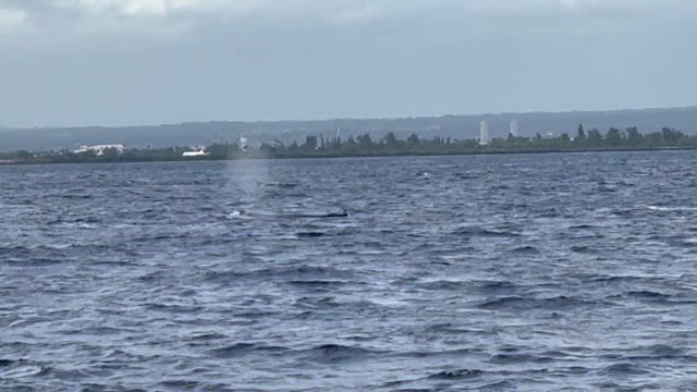 心の豊かさの記事動画