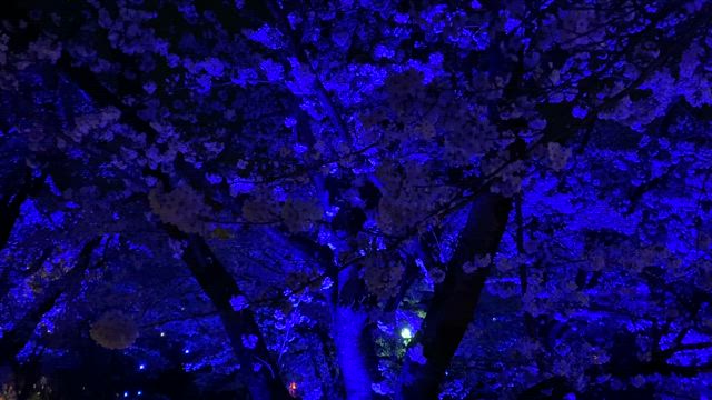 心が軽くなる♪の記事動画