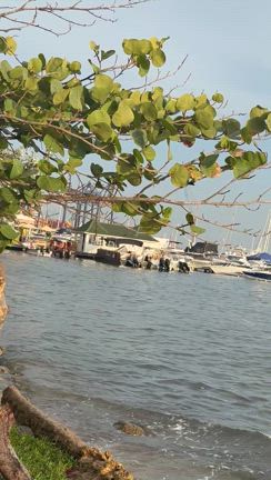 続くよ！気に入ったこの町 ！短期留学コロンビア”の記事動画