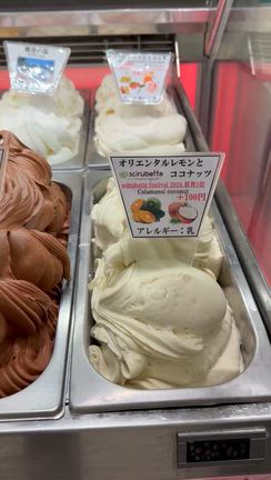 本日のマルガーラボ野々市の記事動画