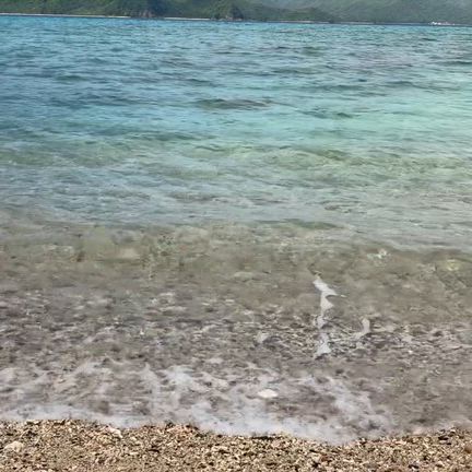 12月までスケジュール更新の記事動画