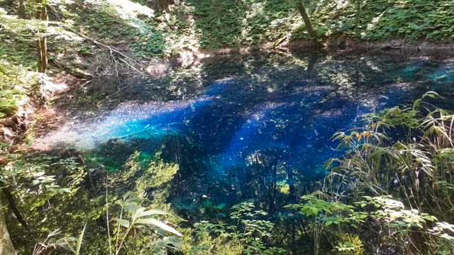 青池｡の記事動画