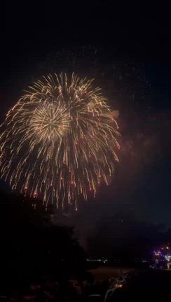 花火の記事動画