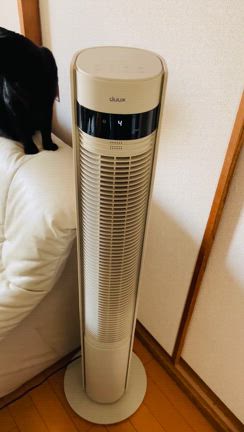 【冷房が苦手な私が選んだ】静音&「電気代が安心な」サーキュレーターの記事動画