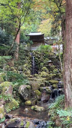 小田原ラスカの森乃さんと再会　最乗寺への記事動画