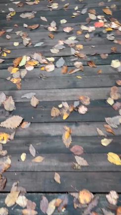 君がいるから〜少しだけ強くなって前を向ける理由〜の記事動画