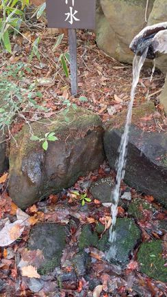 ◆［チャクラを清めよう動画］冬至の女神様が現れたの記事動画