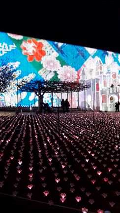 あしかがフラワーパークにて♪パート1の記事動画