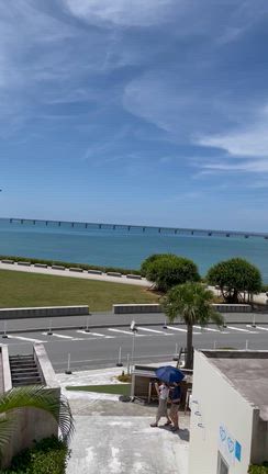 海が好き！！の記事動画