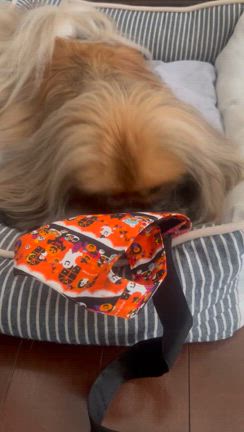 ジャンプ力の記事動画