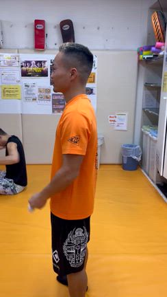すべてはうまくいっているの記事動画