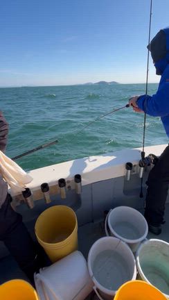 今日(3/16)のシーブルーの記事動画